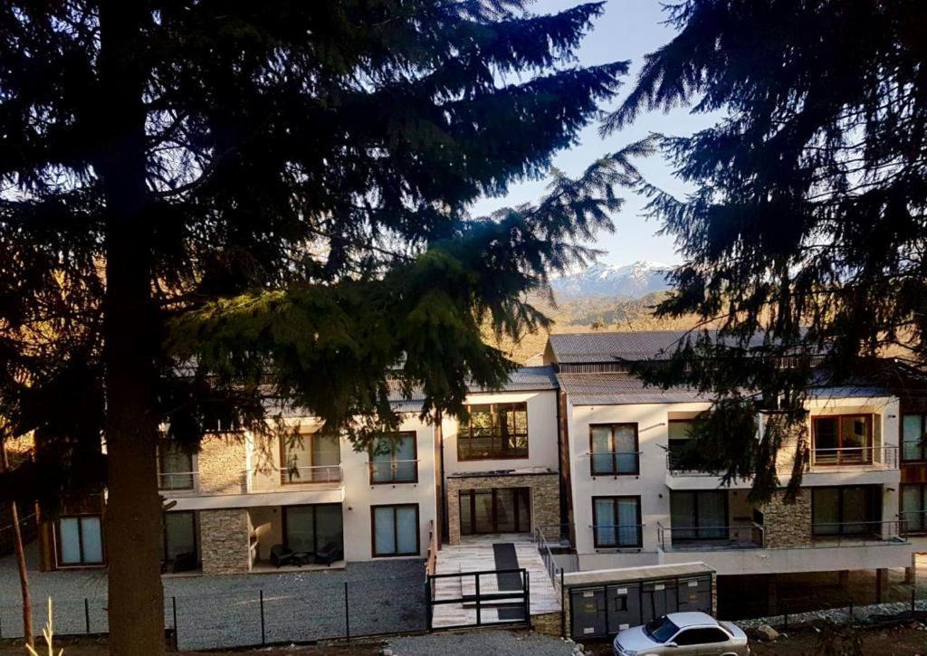 R&R Vibes Apartment บียาลาอังกอสตูรา ภายนอก รูปภาพ